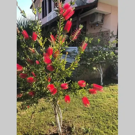 Peaceful House * Φετιγιέ