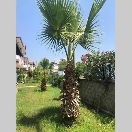 Peaceful House Ferienhaus *